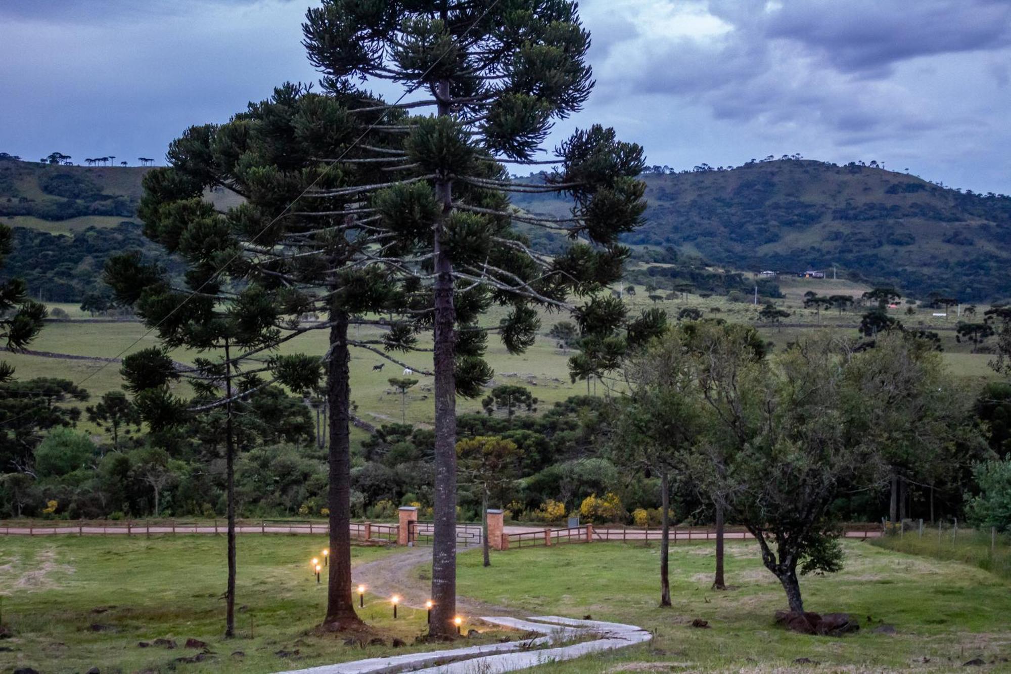 Casas Rainha Da Serra 02 Dorm Casal E Cozinha Urubici Εξωτερικό φωτογραφία